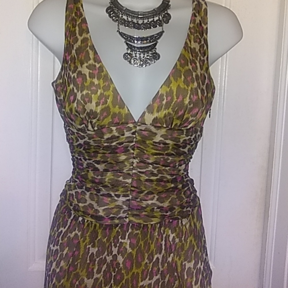 Stunning silk dress with plunging  V neckline